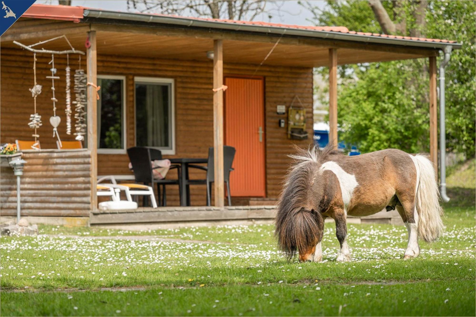Ferienresort Moewenort Luetow Bungalow 1 Eksteriør bilde